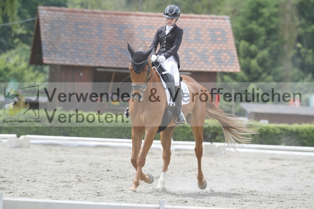 _MG_9446 | equestrian-live-com