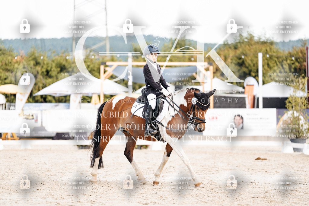 CK904679 | Turnierfotografie Pferdefotografie Trier Rheinland-Pfalz Pferdesport Reitsport Tierfotografie Sportfotografie Pferdevideo Pferdevideografie Equestrianvideography equestrianphotography  - Realisiert mit Pictrs.com