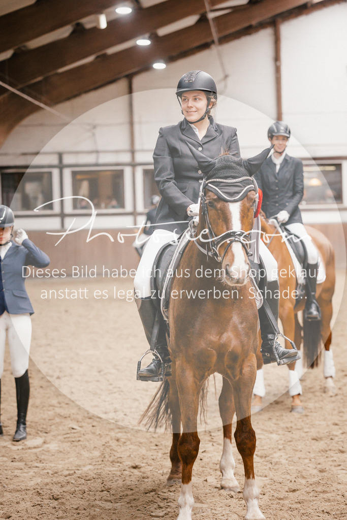 3I6A7994 | Stimmungsvolle Portraits und Reitsportfotografie im Ruhrgebiet und im Münsterland.

Pferdefotografie, Hundefotografie, Tierfotografie, Reportagen, Portraits von Tier und Mensch, Turnierfotografie in Bochum, Recklinghausen, Marl, Haltern am See, Dülmen.. - Realisiert mit Pictrs.com