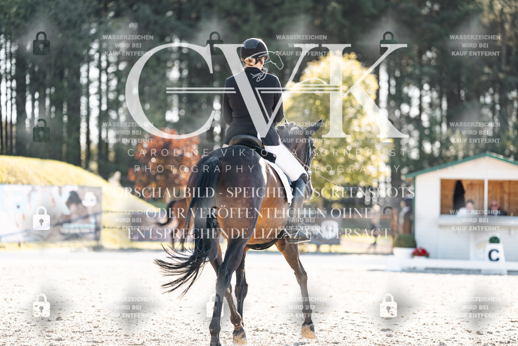 CK906316 | Turnierfotografie Pferdefotografie Trier Rheinland-Pfalz Pferdesport Reitsport Tierfotografie Sportfotografie Pferdevideo Pferdevideografie Equestrianvideography equestrianphotography  - Realisiert mit Pictrs.com