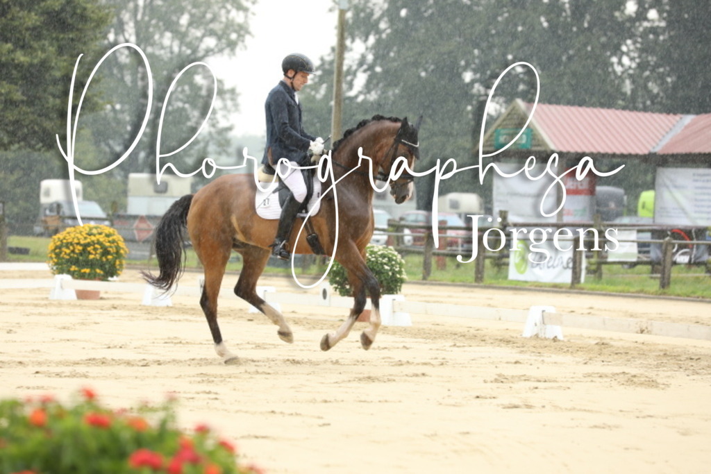 IMG_4859 | photographesa-joergens - Realisiert mit Pictrs.com