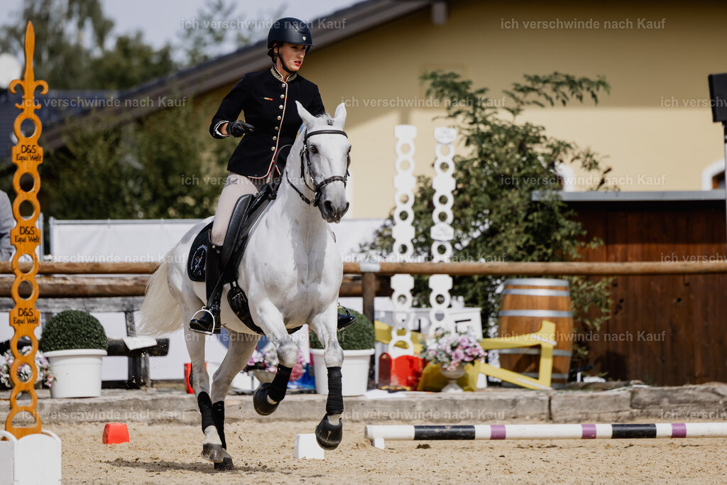 Virginie12FHC2025-20071 | working equitationturnier fotograf videograf stoibphotography marixx film working equitation deutschland reitsport turnierfotografie eventfotografie equestrian events