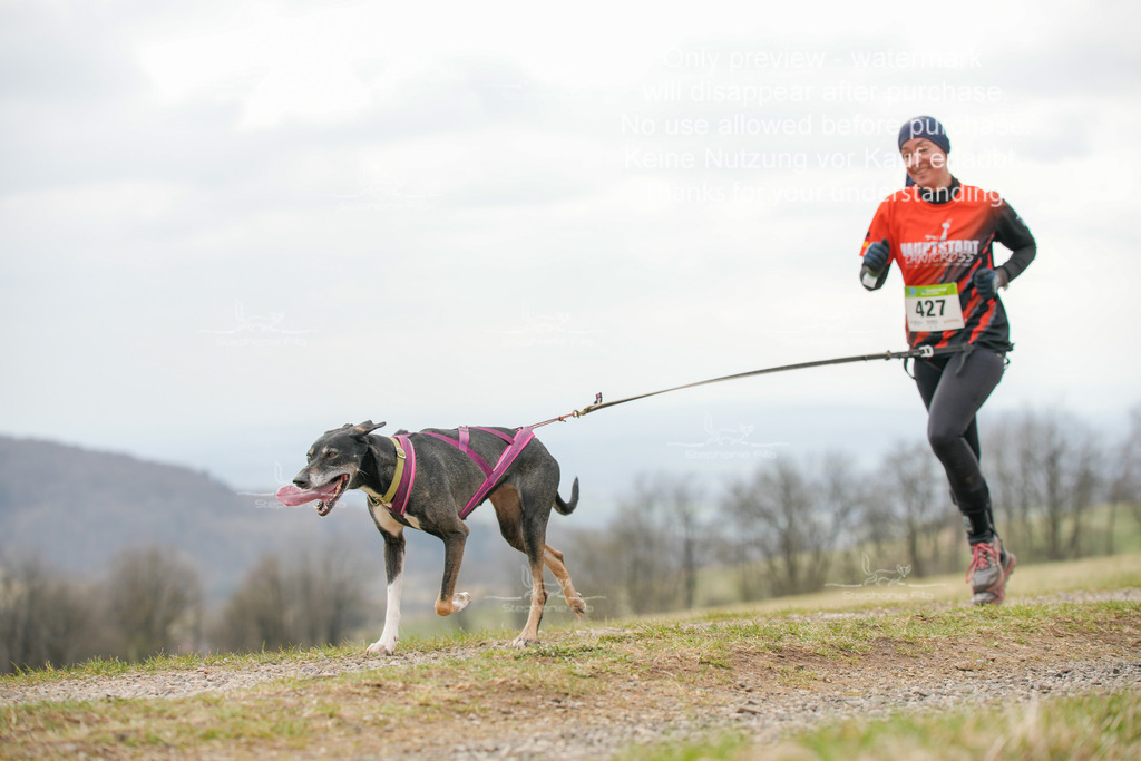 CaniXRunSA-167 | stephaniefillaphotographie - Realisiert mit Pictrs.com