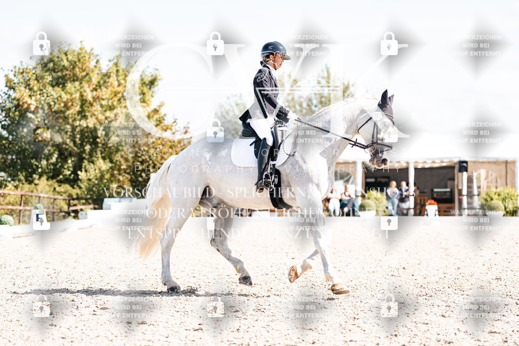 CK902945 | Turnierfotografie Pferdefotografie Trier Rheinland-Pfalz Pferdesport Reitsport Tierfotografie Sportfotografie Pferdevideo Pferdevideografie Equestrianvideography equestrianphotography  - Realisiert mit Pictrs.com