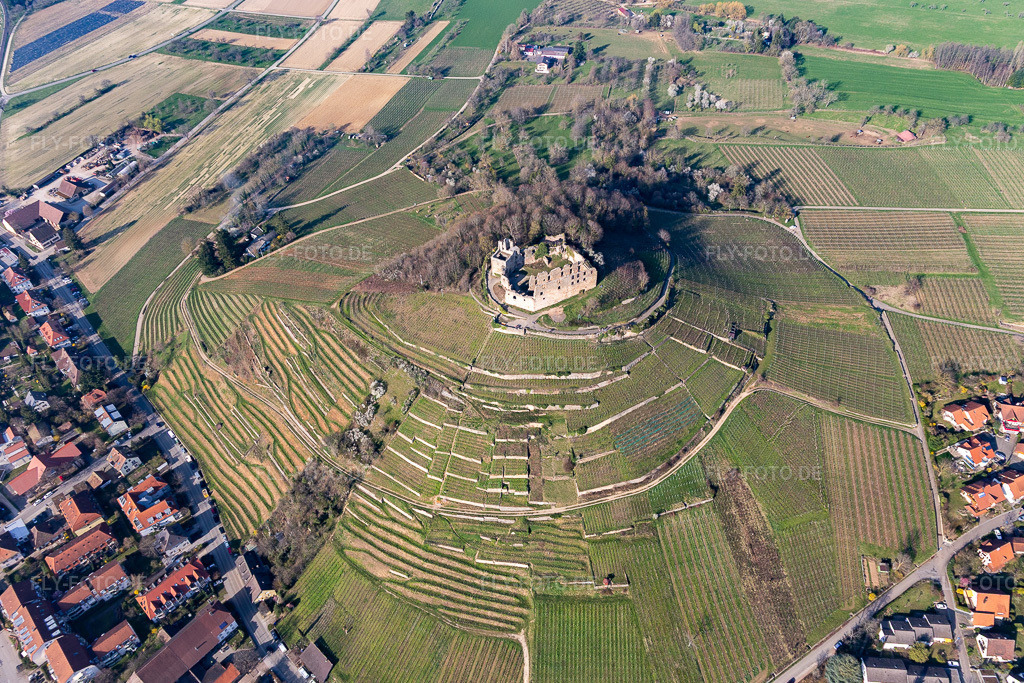 Luftbild: Ruine und Mauerreste der ehemaligen Burganlage Burgruine Staufen auf einem kegelförmigen Weinberg in Staufen im Breisgau im Bundesland Baden-Württemberg in Deutschland. Foto: IMG_112981.jpg vom 22.03.2019 durch Werner Riehm/FLY-FOTO.de