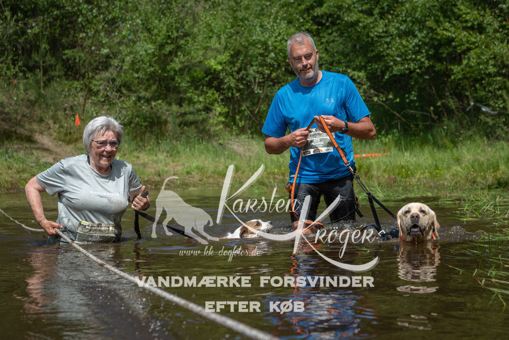 1204DKK991697 | kk-dogfotos