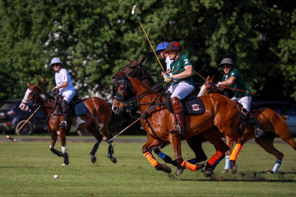 2_TigerFrontierVsGRAT_200525_037 | Bildergalerie von Sport-Ereignissen aber auch von weiteren spannenden Dingen - nicht nur vom Niederrhein. In Anlehnung an den bekannten Spruch von Hanns Dieter Hüsch heißt das Motto: "Niederrhein ist überall".  - Realisiert mit Pictrs.com