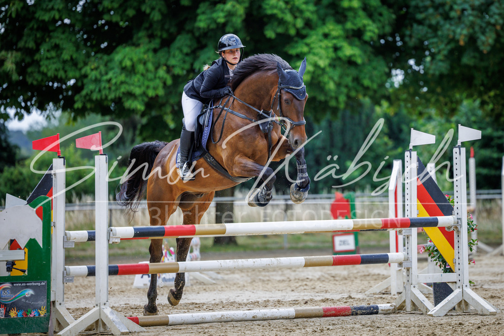 20260705-_3LI4366 | Tierfotografie Pferde, Hunde, Katzen, Haustiere.
Turnierfotografie Reitturniere, Reiten, Springreiten, Dressur in Hanau, dem Main-Kinzig-Kreis und dem Rhein-Main- Gebiet um Frankfurt