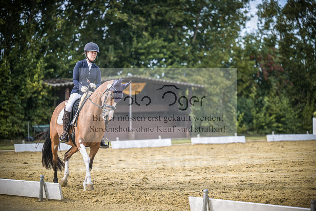 DOS_8999 | Entdecke hochwertige Reitturnierfotos von Foto Oger. Professionell, emotional und authentisch – jetzt Lieblingsmomente im Shop bestellen.Deutschlandweite Turnierfotografie. - Realisiert mit Pictrs.com
