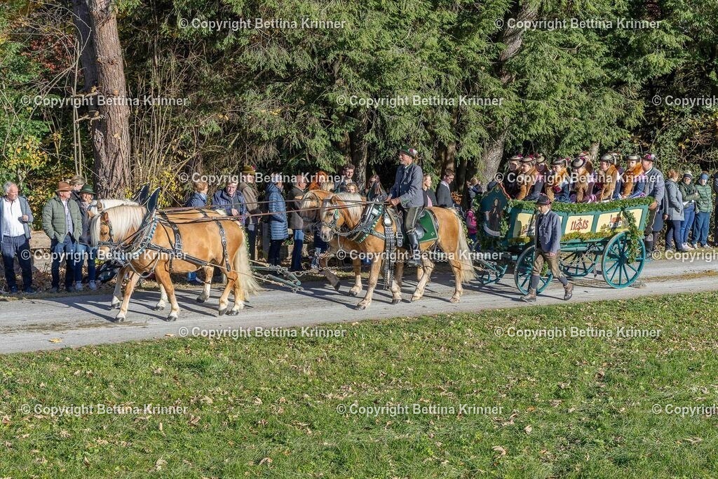 LBT25-574 | foto-bettina-krinner - Realisiert mit Pictrs.com