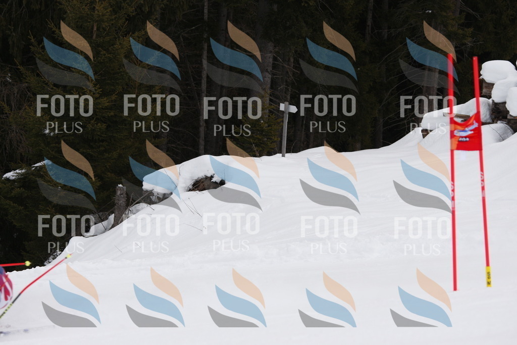 C4063 | holidayphoto