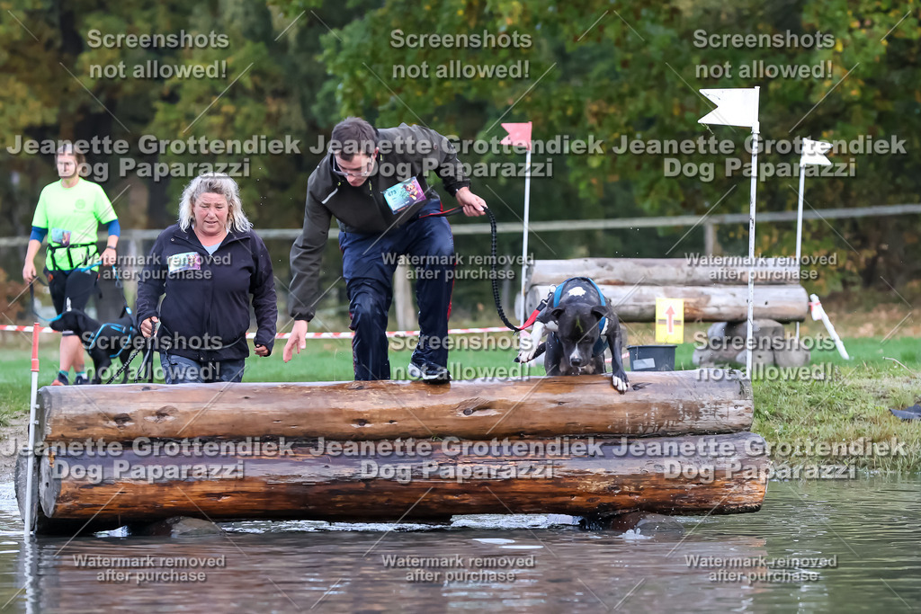 Dog Paparazzi - Strongdog 10-25-6580 | Dog Paparazzi Jeanette Grottendiek Fotografie & Videografie