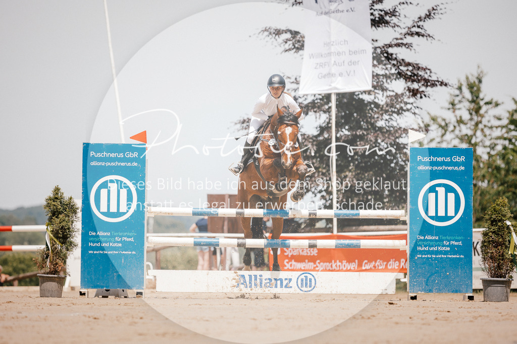 3I6A7749 | Stimmungsvolle Portraits und Reitsportfotografie im Ruhrgebiet und im Münsterland.

Pferdefotografie, Hundefotografie, Tierfotografie, Reportagen, Portraits von Tier und Mensch, Turnierfotografie in Bochum, Recklinghausen, Marl, Haltern am See, Dülmen.. - Realisiert mit Pictrs.com