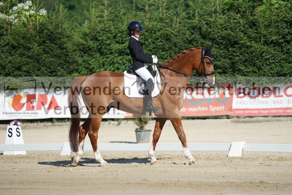 DSC02868 | equestrian-live-com