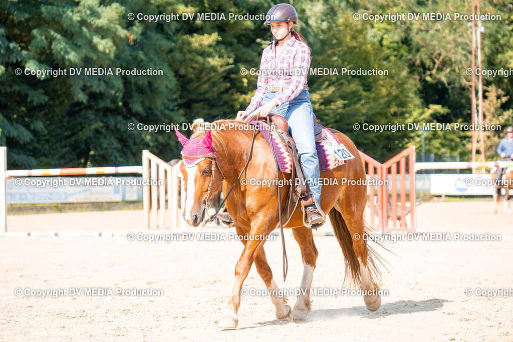 ZH100695 | dv-media-shop - Realisiert mit Pictrs.com