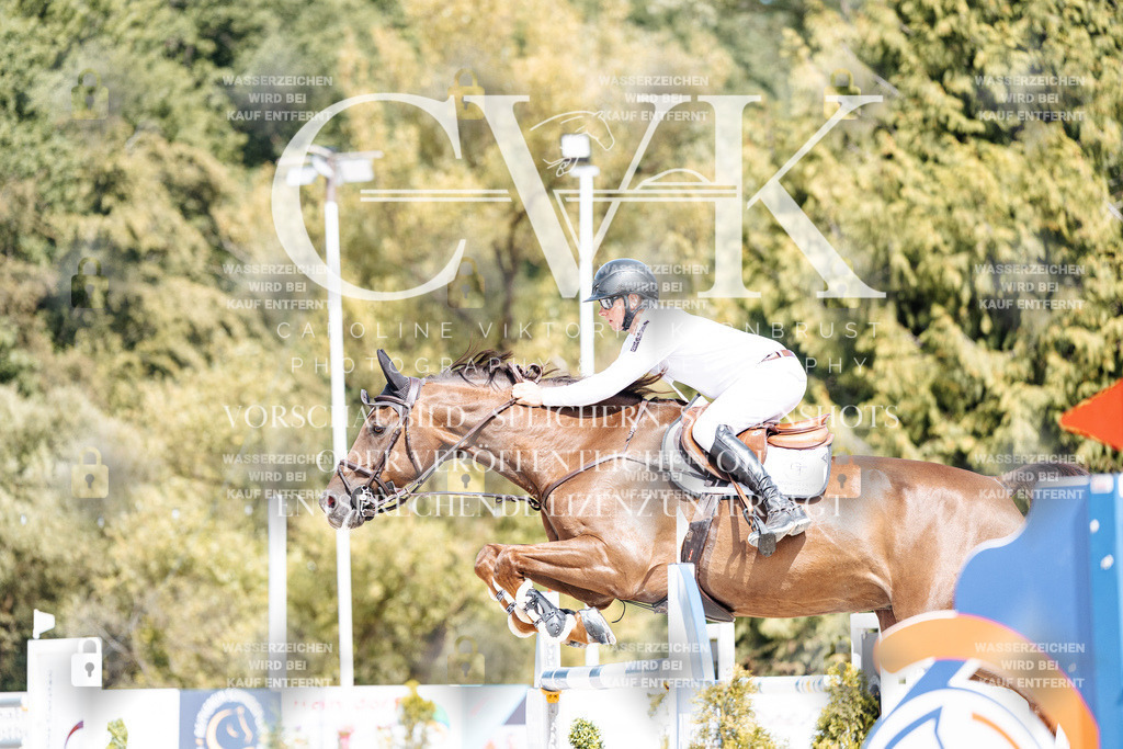 CK904978 | Turnierfotografie Pferdefotografie Trier Rheinland-Pfalz Pferdesport Reitsport Tierfotografie Sportfotografie Pferdevideo Pferdevideografie Equestrianvideography equestrianphotography  - Realisiert mit Pictrs.com
