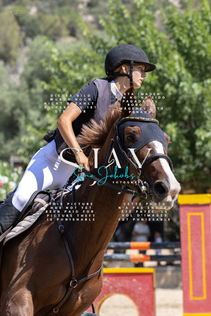 IMG_5648 | s-jay-photography - Realisiert mit Pictrs.com