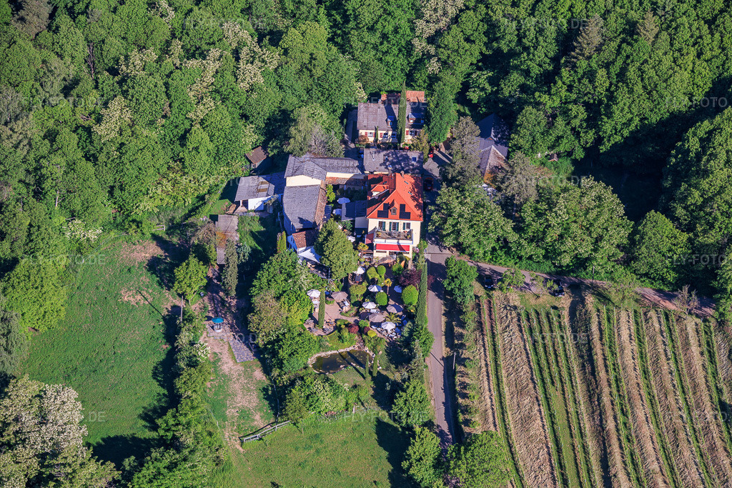 Luftbild: Weingut Sankt Annaberg mit Garten am Waldrand in Burrweiler im Bundesland Rheinland-Pfalz in Deutschland.Foto: IMG_156724.jpg vom 23.05.2026 durch Werner Riehm/FLY-FOTO.deAuflösung des Originals: 6000 x 4000 pxauf dem Weingut Sankt Annaberg