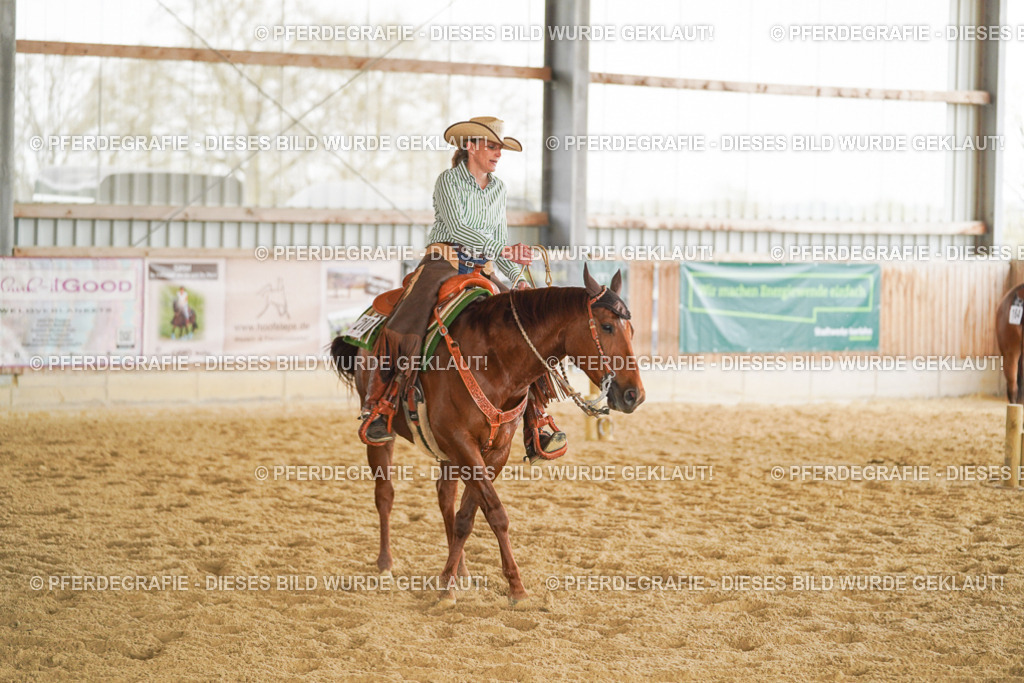 DSC05064 | Pferdegrafie