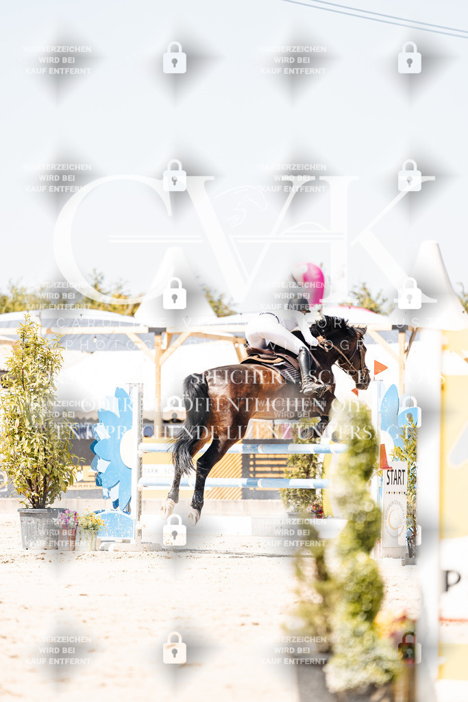 CK909942 | Turnierfotografie Pferdefotografie Trier Rheinland-Pfalz Pferdesport Reitsport Tierfotografie Sportfotografie Pferdevideo Pferdevideografie Equestrianvideography equestrianphotography  - Realisiert mit Pictrs.com