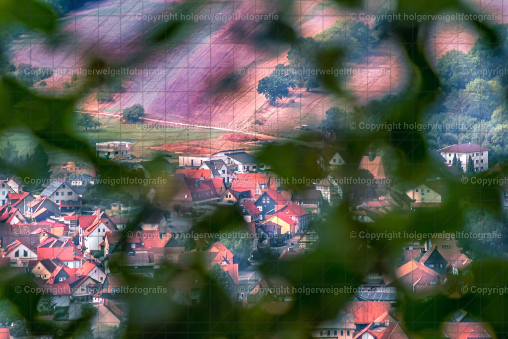 Blick durch die Blätter | Kaufen sie online außergewöhnliche Fotografien auf Leinwand Acrylglas Fotoprint Aludibond von holgerweigeltfotografie - Realisiert mit Pictrs.com