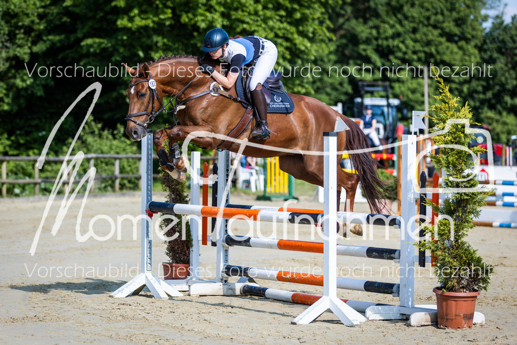 Donop24-ASpr-008 | MomenTaufnahmen Pferdesportfotos