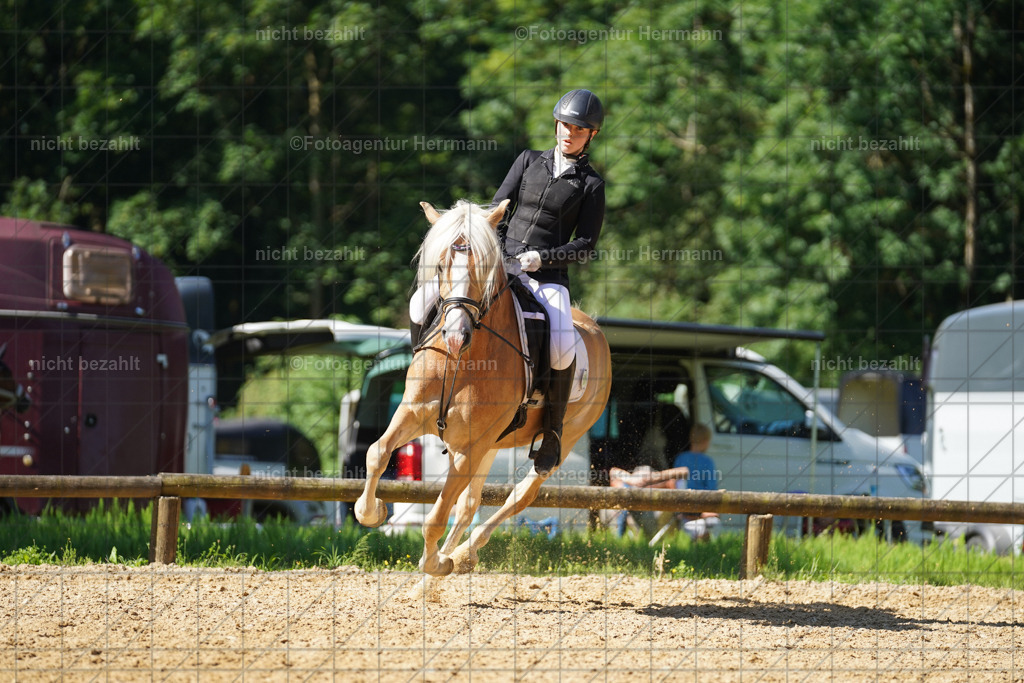 20240706-FAH04753 | Grafing Turnierfotos, Reitverein Ebersberg, Turnierfotografen Bayern, reitsportbilder, Pferdefotograf, reitsportfotograf, Sportbilder, Reitsportfotografie, Fotoagentur Herrmann, Turnierfotograf