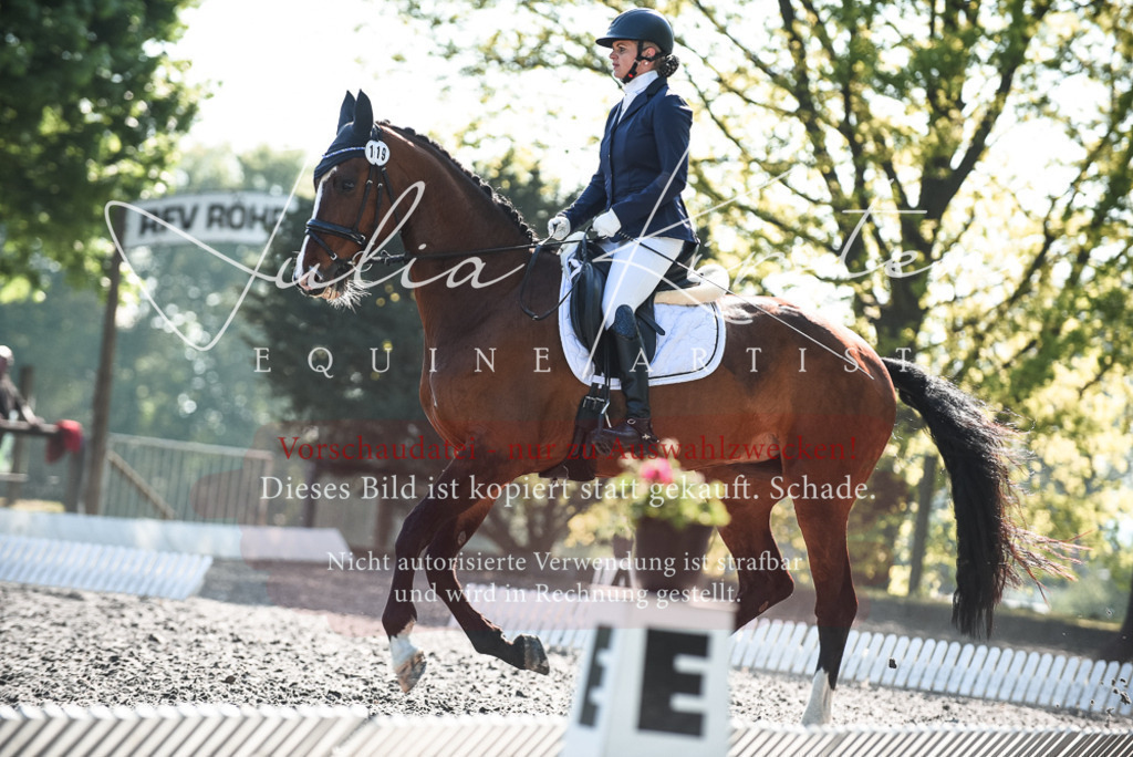 DSC_8551 | Pferde- und Turnierfotografie in Westsachsen. Pferdeportraits, Auftragszeichnungen und intuitive Kunst.