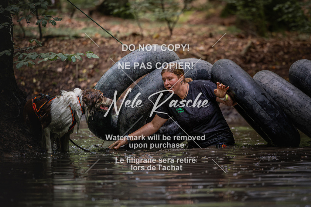 nelerasche_SaWingst1400-1500_02 | nelerasche