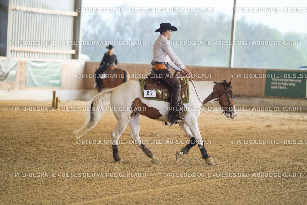 DSC09245 | Pferdegrafie