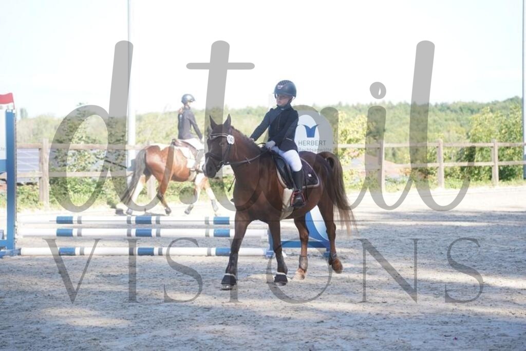 tgbhsonntag (115) | d.tail Visions - Shop - Realisiert mit Pictrs.com