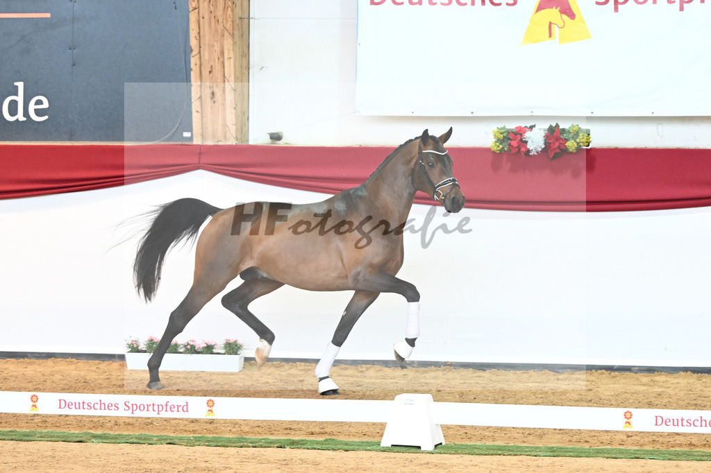 Kat-Nr. 55 Va Bene x Goldberg_Kuntz_43230565 | hf-fotografie - Realisiert mit Pictrs.com