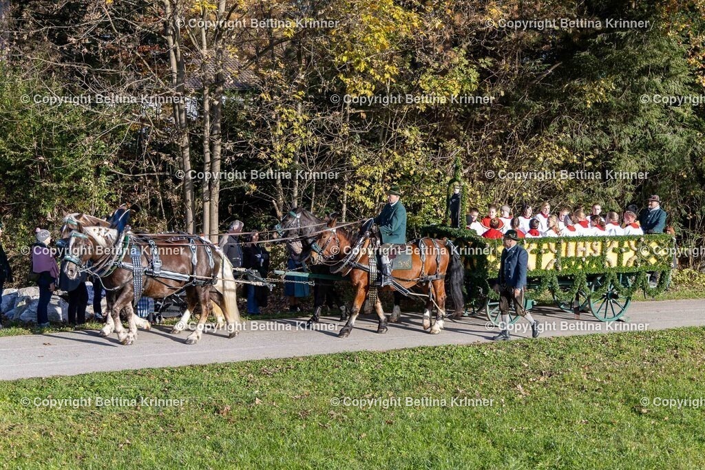 LBT24-35 | foto-bettina-krinner - Realisiert mit Pictrs.com