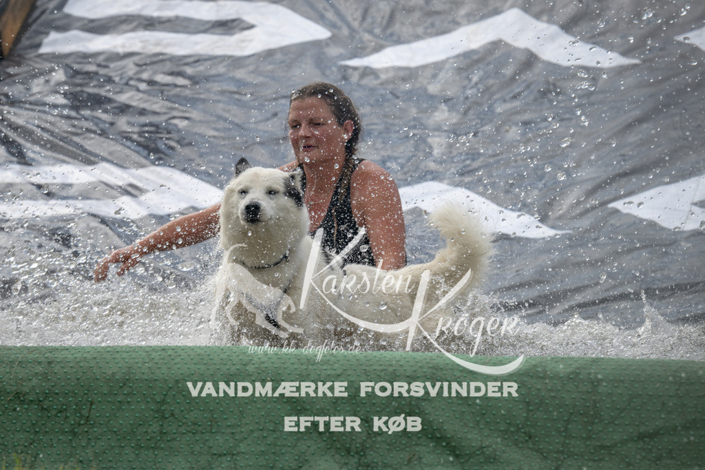 1107_ZZ92537 | kk-dogfotos