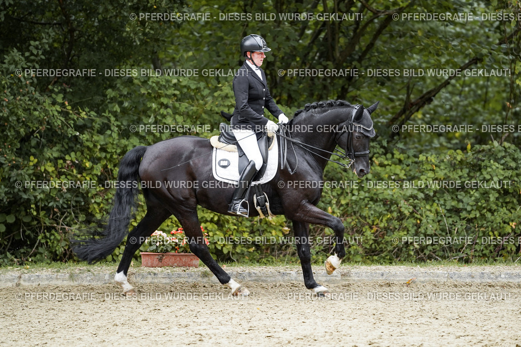 DSC02202 | Pferdegrafie