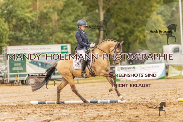 26-8-7 RC H RPF-143 | mandyhollmannphotographie