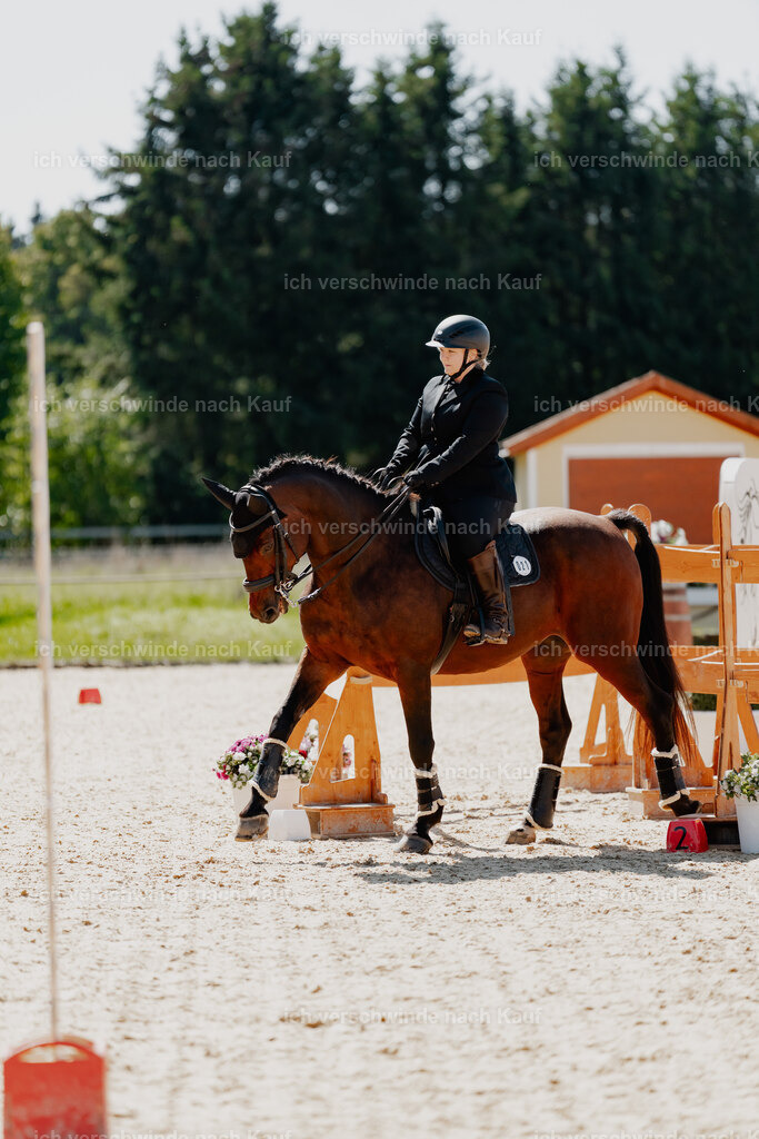 Lara_21_FHC2025-22 | working equitationturnier fotograf videograf stoibphotography marixx film working equitation deutschland reitsport turnierfotografie eventfotografie equestrian events