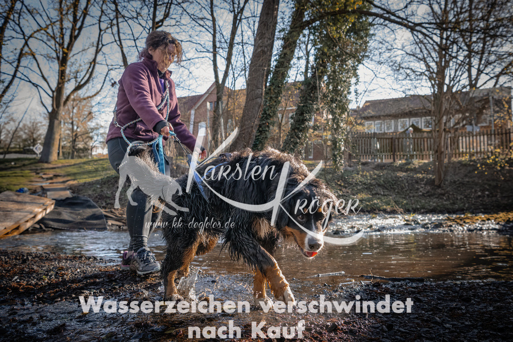 0827_ZZ90817 | kk-dogfotos