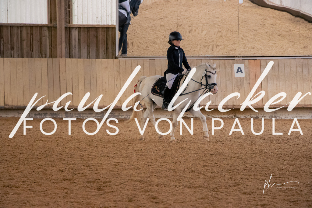 IMG_5217 | Erleben Sie dynamische Sport- und emotionale Tierfotografie in Süddeutschland mit Fotos von Paula. Spezialisiert auf Pferde- und Hundefotografie sowie Sportevents. Kontaktieren Sie mich für einzigartige und ausdrucksstarke Bilder Ihrer besonderen Momente. - Realisiert mit Pictrs.com