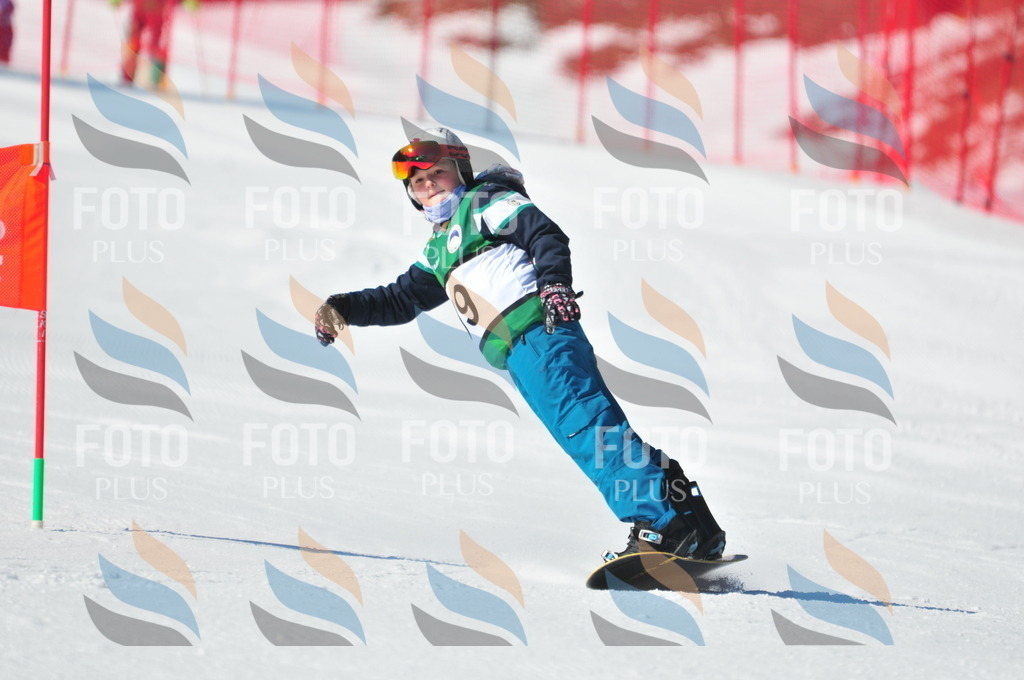 C2391 | holidayphoto