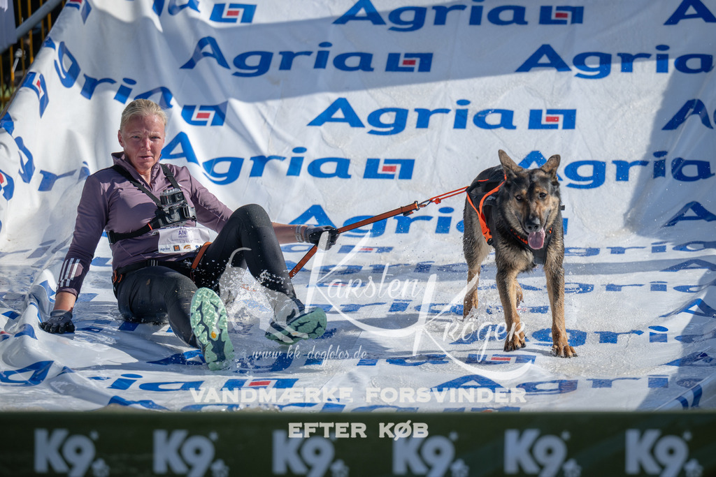 0941_ZZ96741 | kk-dogfotos