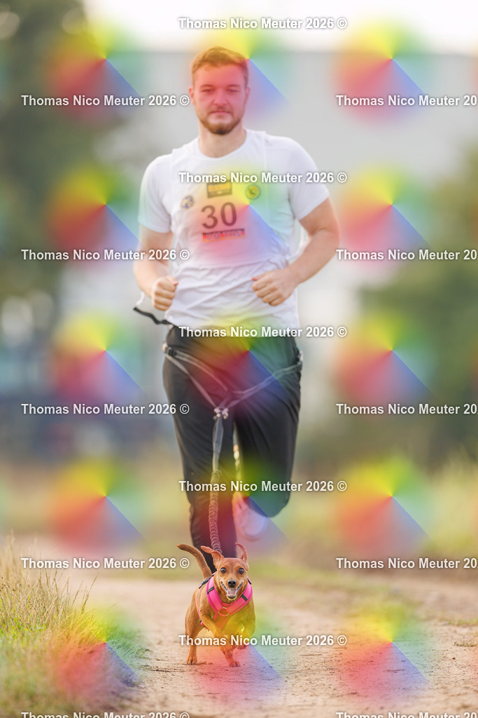 Thomas_Nico_Meuter(C)_23. August 2026_223A5992 | Bild von Thomas Nico Meuter - Realisiert mit Pictrs.com