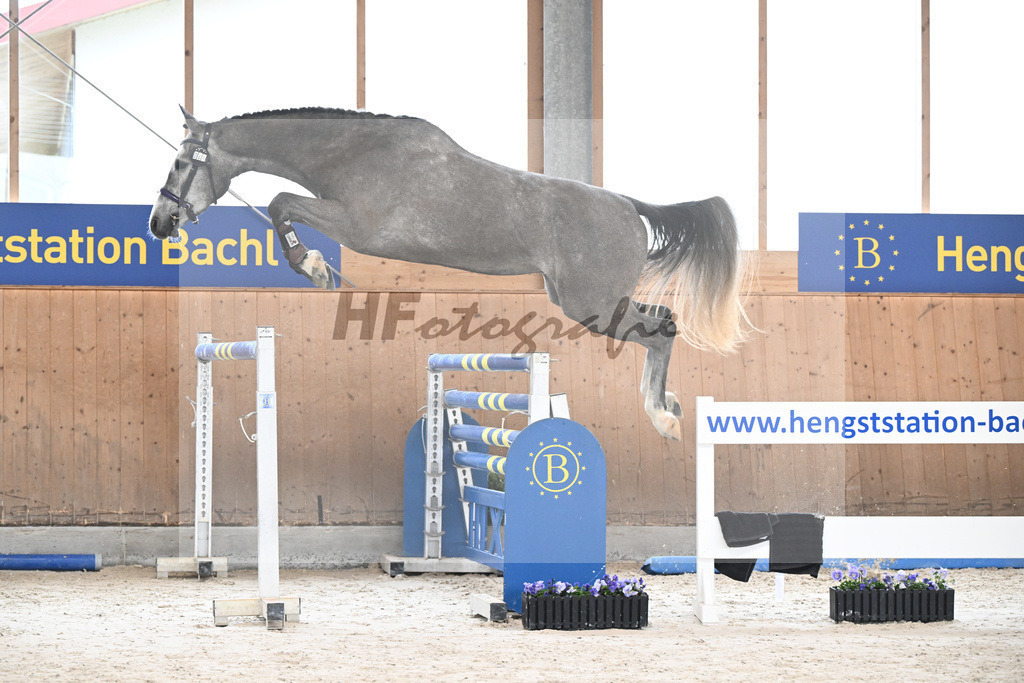 Kat-Nr. 41 Ferdinand vom Imhoff v. Cornet Obolensky_Imhoff_7240376 | hf-fotografie - Realisiert mit Pictrs.com