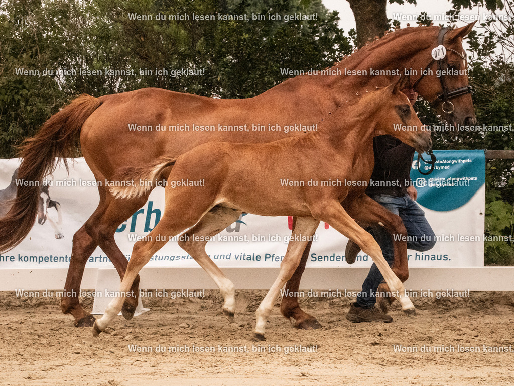 A10I1342 | photographylinaismer - Realisiert mit Pictrs.com
