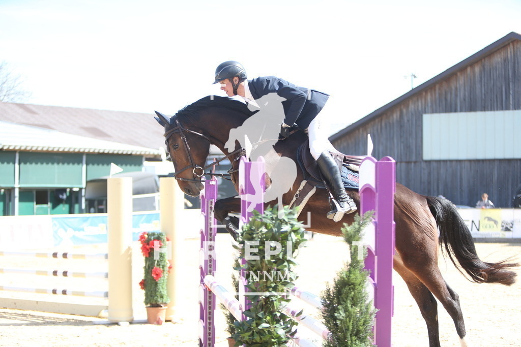 DL2Q0885 | Willkommen bei Brunnmayr - Design & Fotografie – Ihrem Spezialisten für Reitturniere und Pferdeveranstaltungen in Oberösterreich, Salzburg und Bayern! Seit über 17 Jahren sind wir leidenschaftlich dabei.