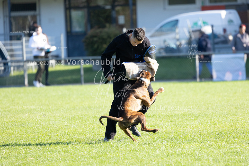 _16A5023 | Einzigartige Fotos von Hunden & Menschen –Actionfotos, Portraits, Vereinsaufnahmen & Paarshootings – authentisch, lebendig & mit Herz.