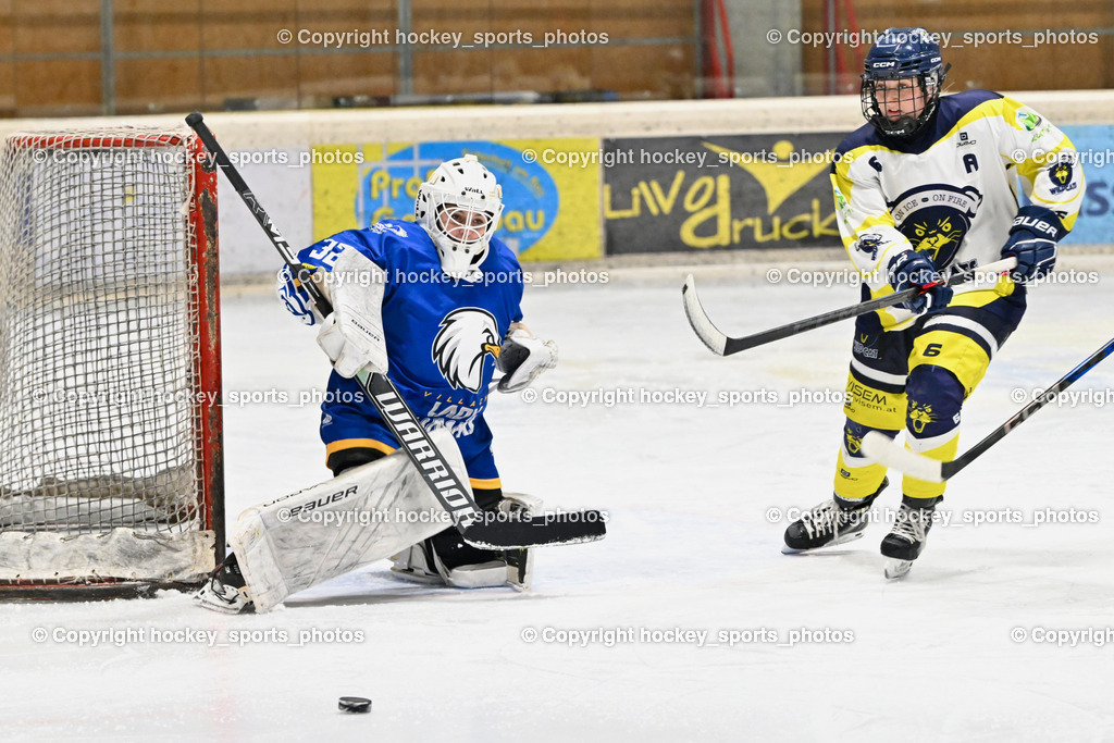 Wildcats Paternion vs. Lady Hawks  | #32 Prasser Hannah Sophie LADY HAWKS, #6 Jelovcan Selina WILDCATS PATERNION, Wildcats Paternion vs. Lady Hawks , Wildcats Paternion vs. Lady Hawks  am 27.01.2025 in Spittal an der Drau (Eissportzentrum Spittal), Austria, (Photo by Bernd Stefan)