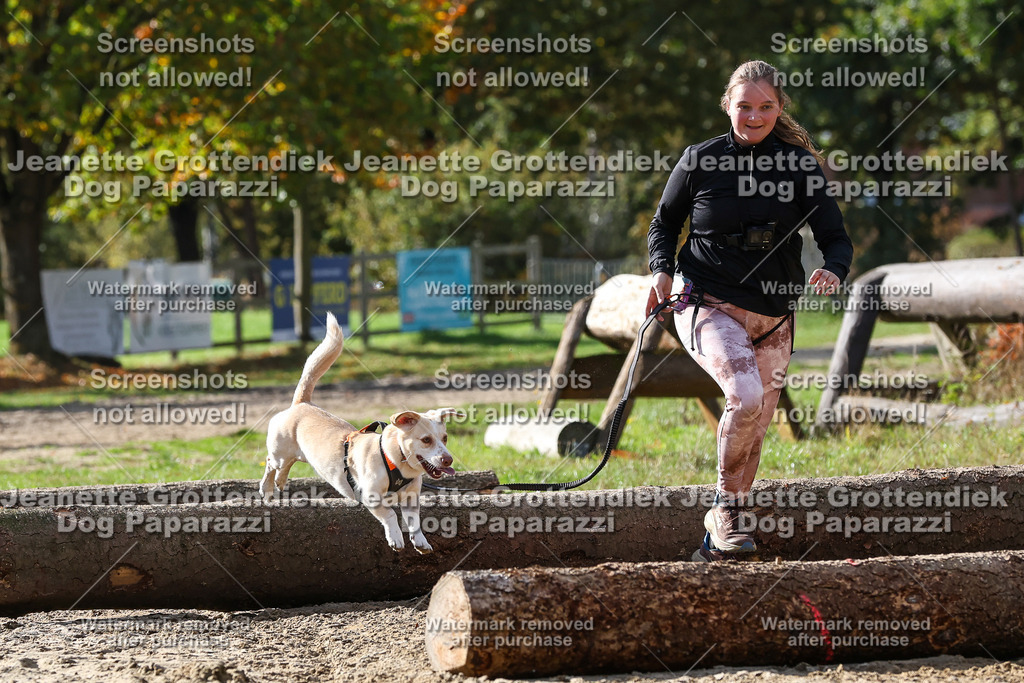 Dog Paparazzi - Strongdog 10-25-5501 | Dog Paparazzi Jeanette Grottendiek Fotografie & Videografie - Realisiert mit Pictrs.com