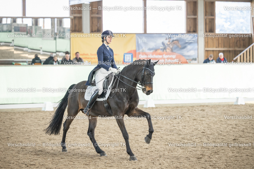 _D5A6554 | Emotionale Pferde- & People-Fotografie rund um Heidelberg, Leimen & Umgebung. Natürliche Fotos von Pferd, Mensch & Familie. Jetzt Termin sichern!