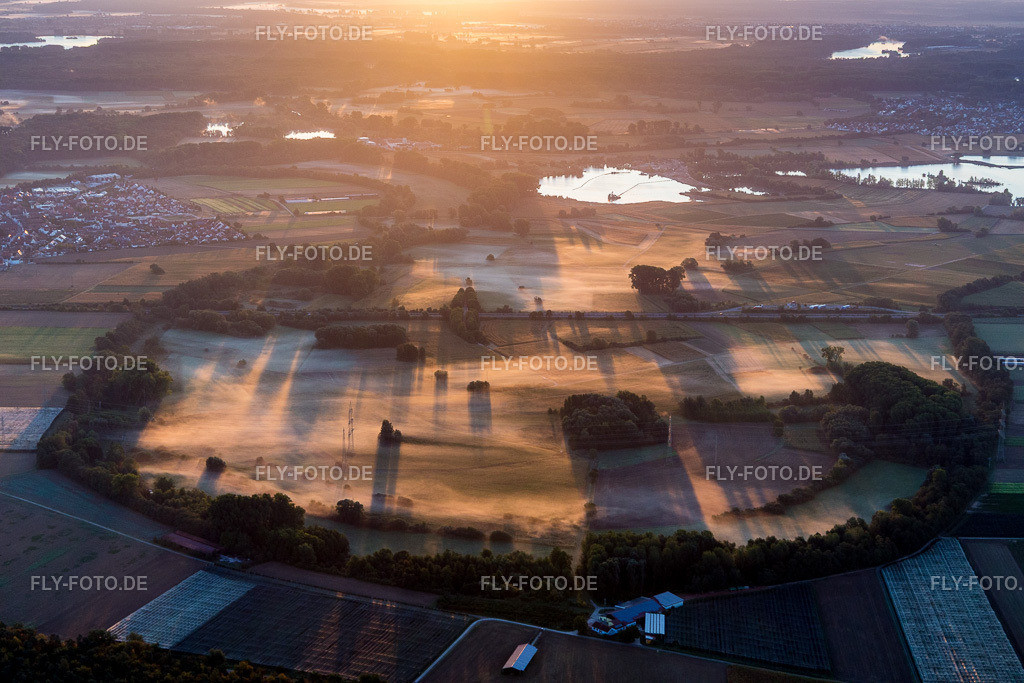 Rheinauen im Morgendunst bei Kuhhardt | Luftbild: Rheinauen im Morgendunst bei Kuhhardt in Rülzheim im Bundesland Rheinland-Pfalz in Deutschland. Foto: IMG_110806.jpg vom 08.09.2018 durch Werner Riehm/FLY-FOTO.de - Realisiert mit Pictrs.com